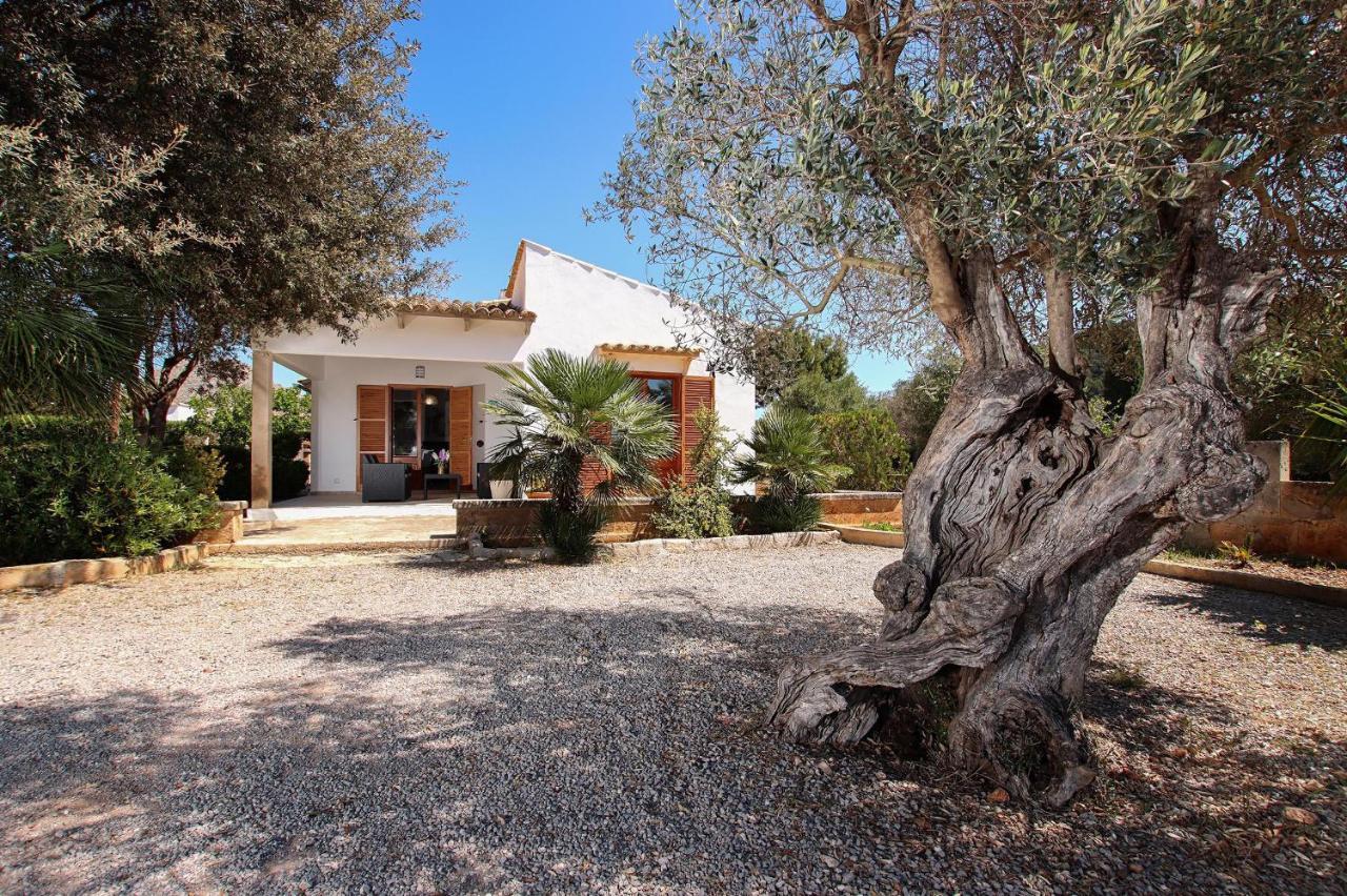 Villa La Vinya Can Oliver - Oliver Польенса Экстерьер фото